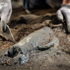 Närbild på arkeologiskt fynd, en slags kanna som ligger halvt dold i jord..