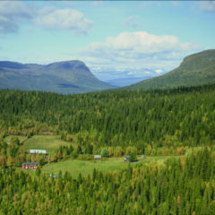 Naturvy över skog med en öppen glänta i mitten med några hus. I bakgrunden höga fjäll.