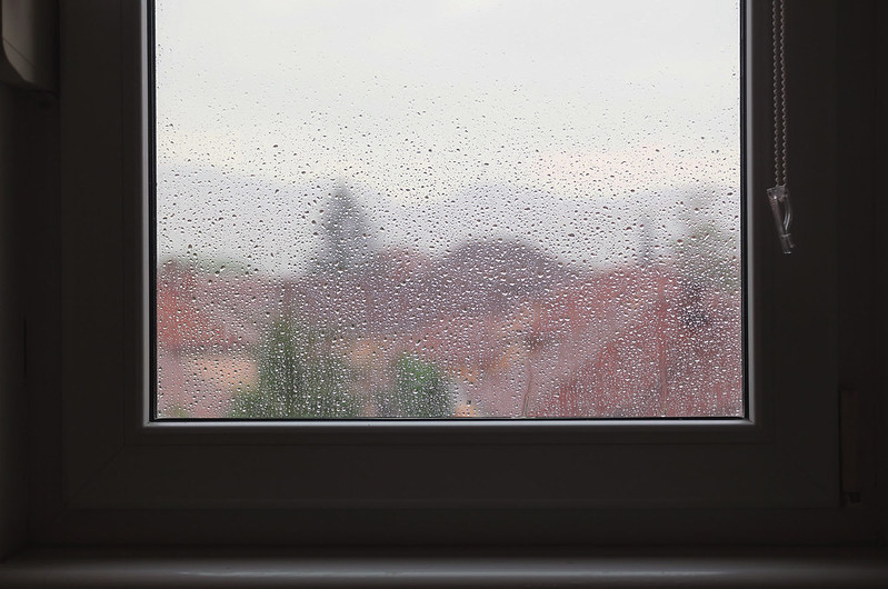 Ett regningt fönster fotograferat från insidan
