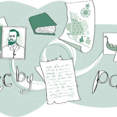 Illustration i grönt och vitt som visar fotografier, textdokument, filmrulle, bok och med texten ccby och pdm.