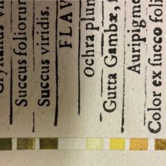 En färgkarta av äldre sort.