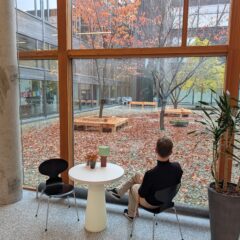 Man i svart polo sitter med ruggen mot kamera och blickar genom stora fönster ut mot en innergård med röda höstlöv.