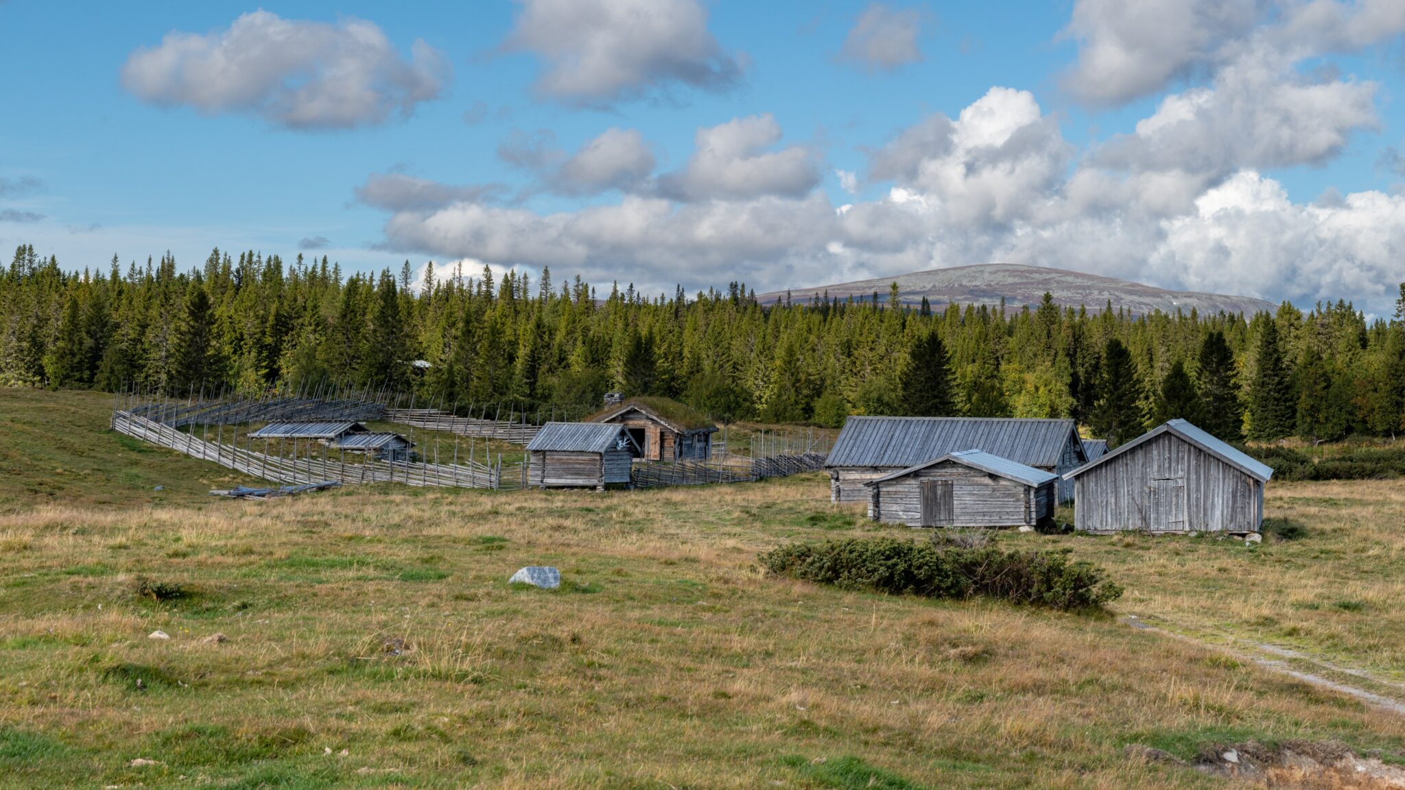Fjällnära fäbodmiljö med flera grånade timmerbyggnader på en öppen äng, omgiven av skog och med berg i bakgrunden under en molnig himmel.