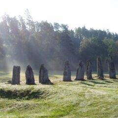 Daggvått grönt gräs i förgerunden med stenar från Blomsholms skeppssättning, kantad av barrskog. Morgonsolens strålar skiner över trädtopparna.