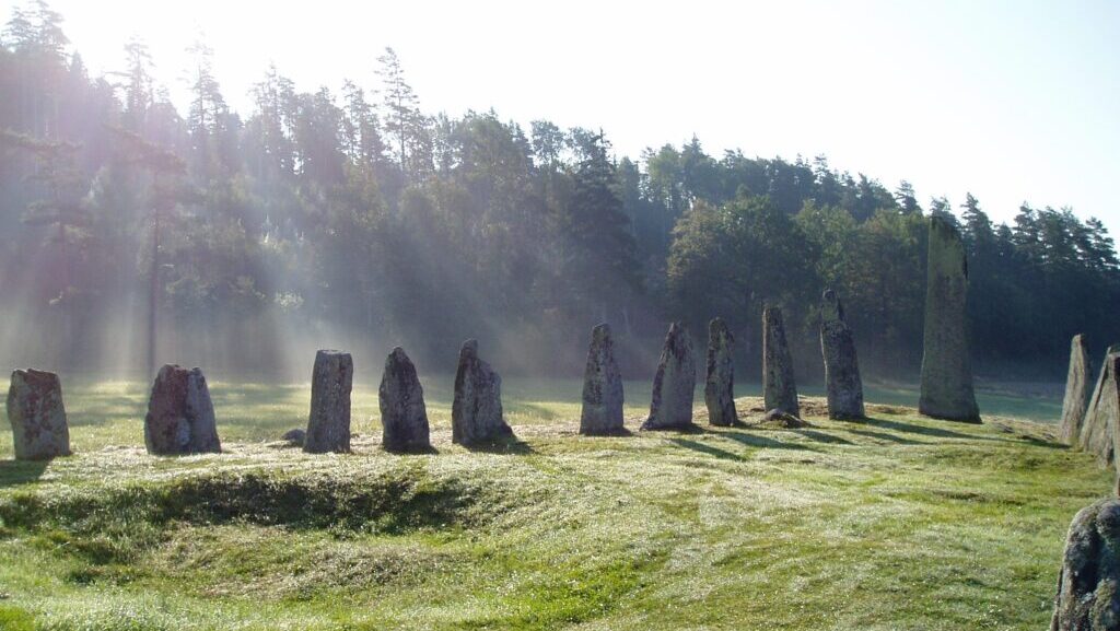 Daggvått grönt gräs i förgerunden med stenar från Blomsholms skeppssättning, kantad av barrskog. Morgonsolens strålar skiner över trädtopparna.