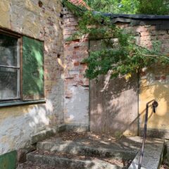 En solbelyst, förfallen husfasad i gul puts med trasiga tegelpartier, där en igensatt dörr och en övervuxen buske skymmer entrén.