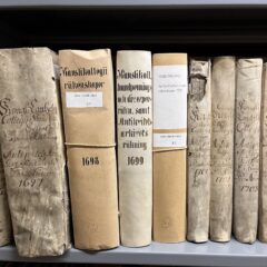 Flera äldre böcker står på rad, dessa har handskrivna titlar på bokryggen som beskriver innehållet.