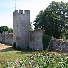 Medeltida stadsmur med runda torn omgivna av gräs och stora träd under klar himmel.