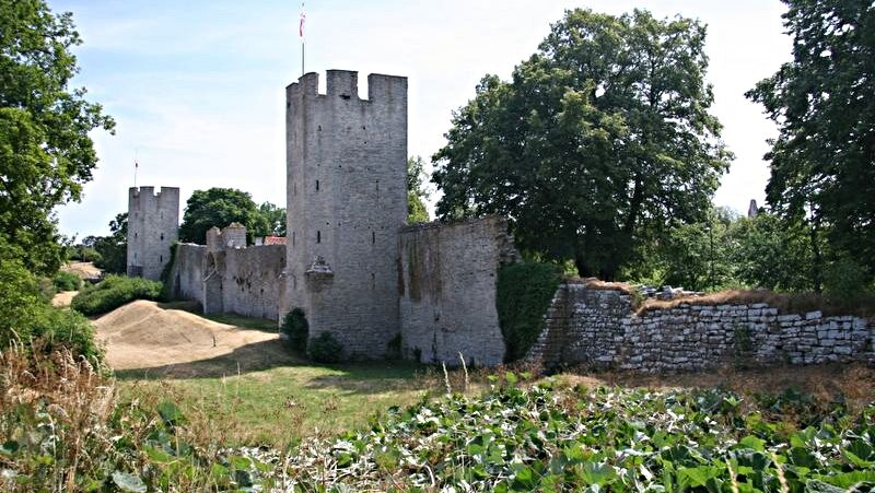 Medeltida stadsmur med runda torn omgivna av gräs och stora träd under klar himmel.