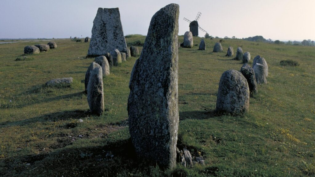 Översikt över Gettlinge gravfälts stenar.