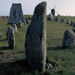 Översikt över Gettlinge gravfälts stenar.