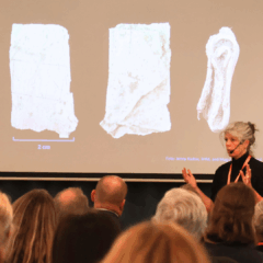 "Person med headset föreläser inför publik i en konferenssal. På en stor skärm visas bilder av små arkeologiska fynd med en skala på 2 cm."