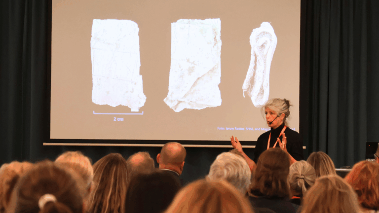 "Person med headset föreläser inför publik i en konferenssal. På en stor skärm visas bilder av små arkeologiska fynd med en skala på 2 cm."